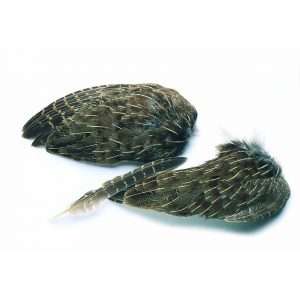 English Partridge Wings